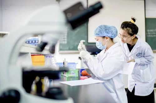 醫(yī)學檢驗技術 連接臨床與研發(fā)的創(chuàng)新橋梁